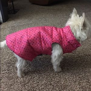 Martha Stewart dog jacket